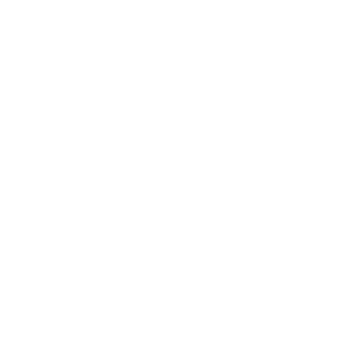feature-item-3